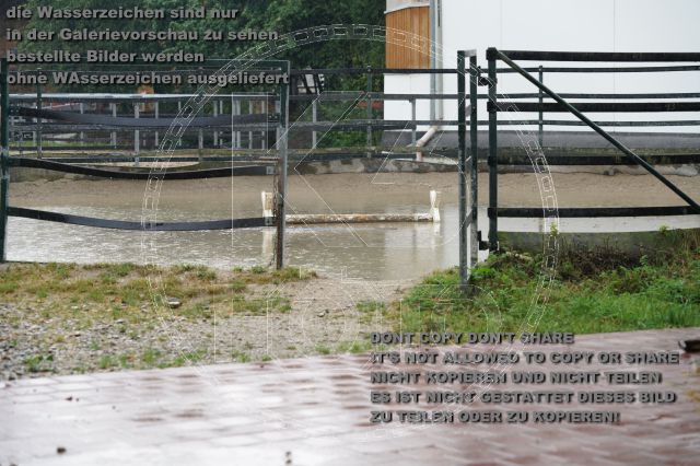 s_K3F02844.JPG